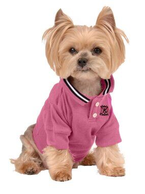 Hot Pink Polo Shirt